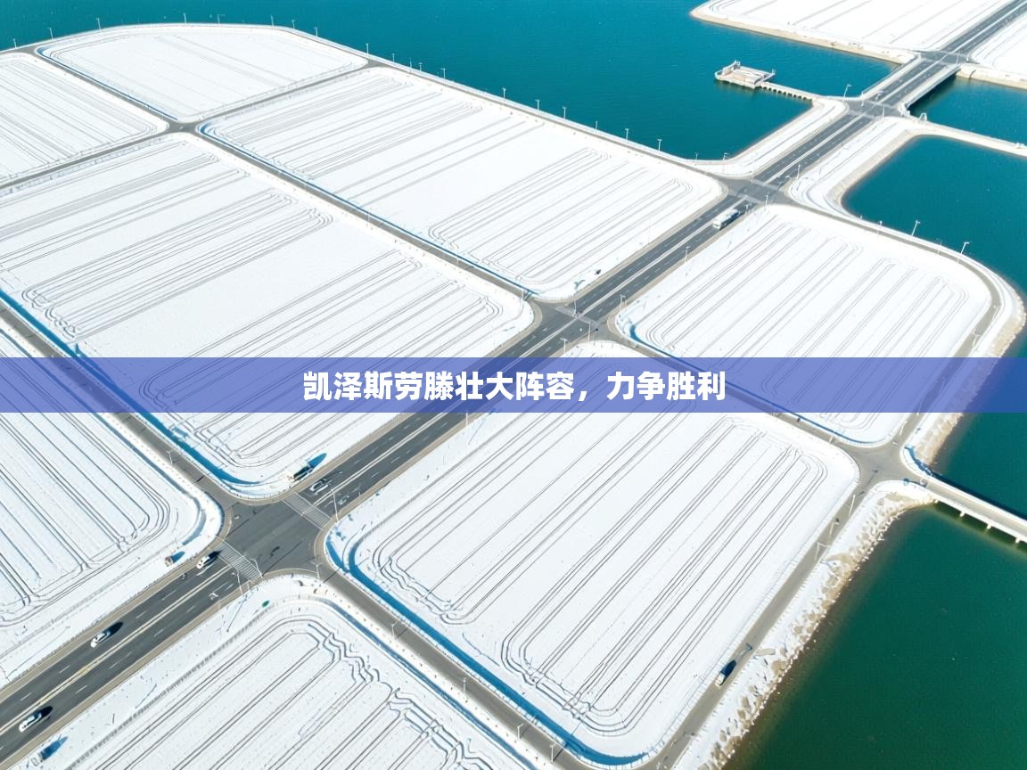 凯泽斯劳滕壮大阵容，力争胜利  第2张