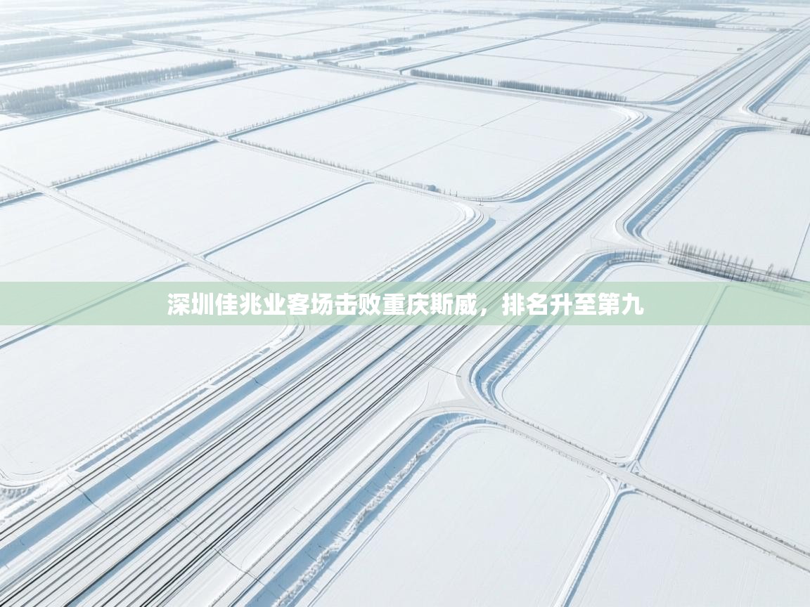 深圳佳兆业客场击败重庆斯威，排名升至第九