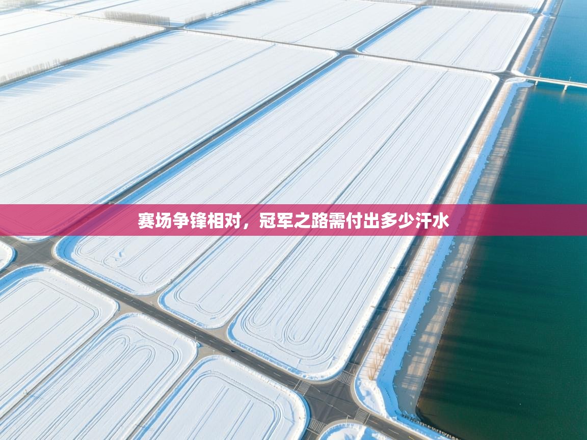 赛场争锋相对，冠军之路需付出多少汗水