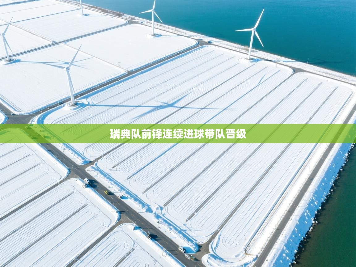 瑞典队前锋连续进球带队晋级 第1张