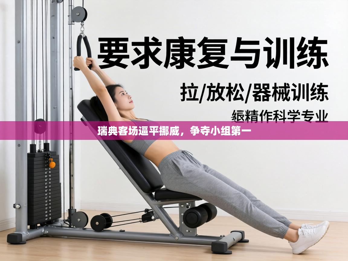 瑞典客场逼平挪威,争夺小组第一 第1张