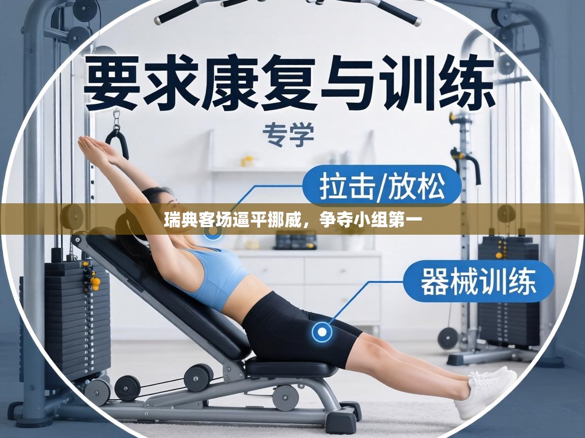 瑞典客场逼平挪威,争夺小组第一 第2张